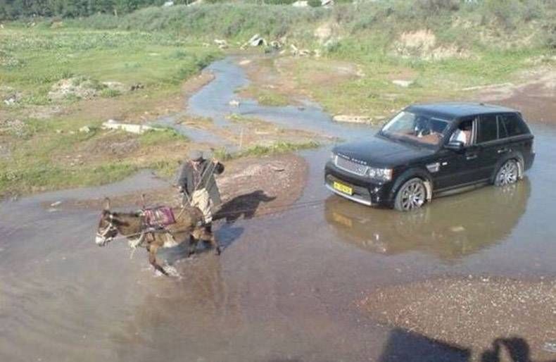 Gewoon een verzameling hilarische foto's #785