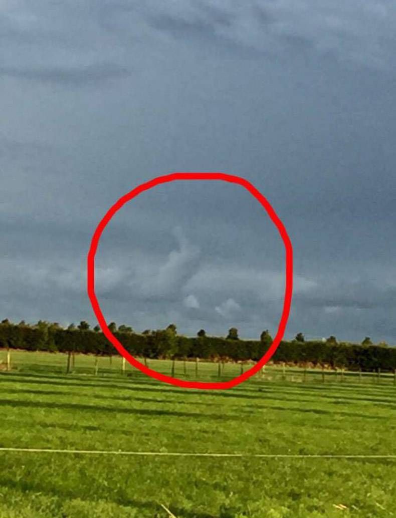 Gewoon een verzameling hilarische foto's #868