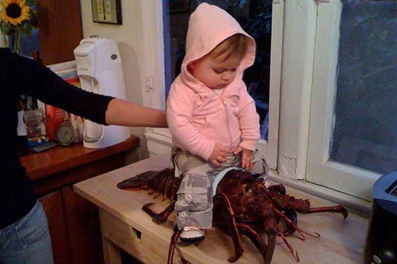 Gewoon een verzameling hilarische foto's #748