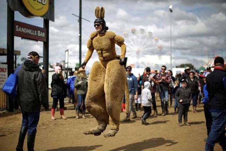 Gewoon een verzameling hilarische foto's #724