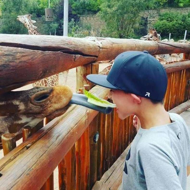 Gewoon een verzameling hilarische foto's #714