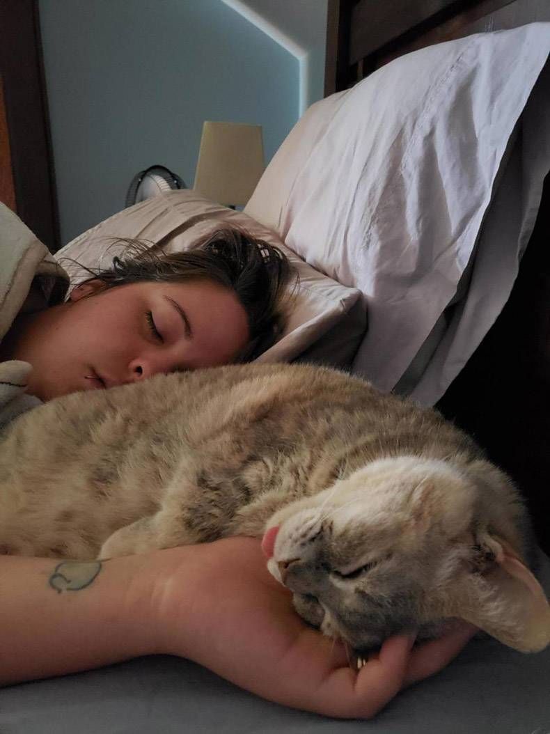 Gewoon een verzameling hilarische foto's #1348