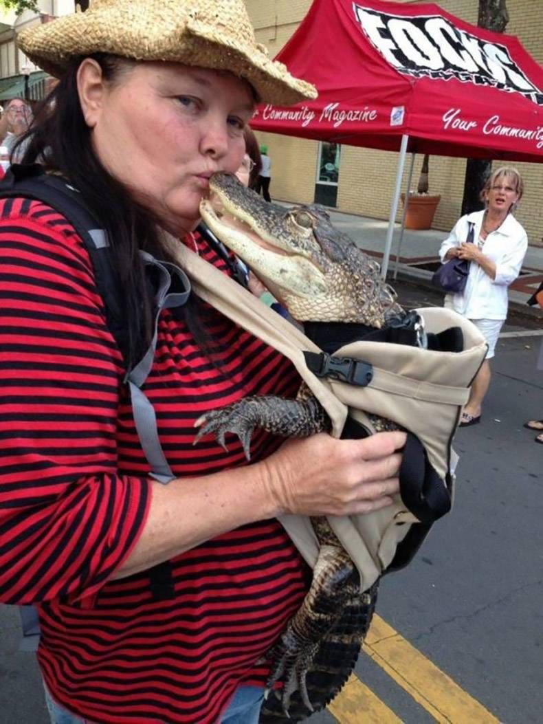 Gewoon een verzameling hilarische foto's #1254
