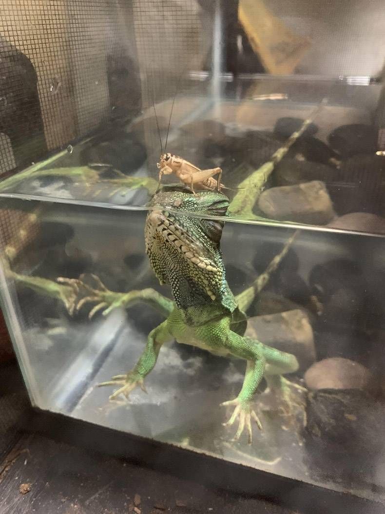 Gewoon een verzameling hilarische foto’s #1132