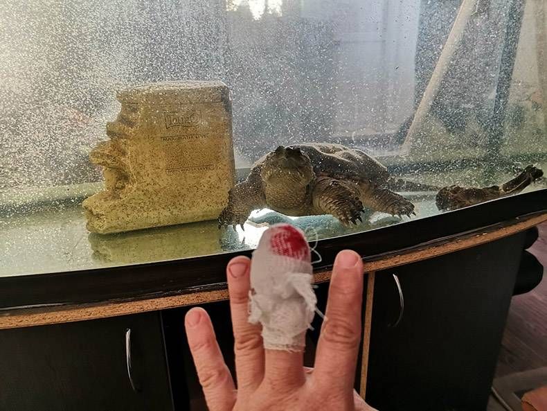 Gewoon een verzameling hilarische foto's #1119