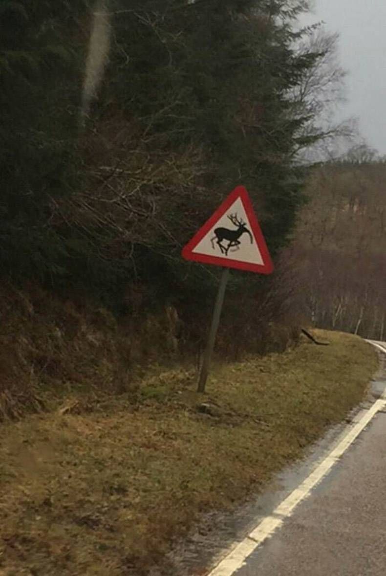 Gewoon een verzameling hilarische foto's #1016