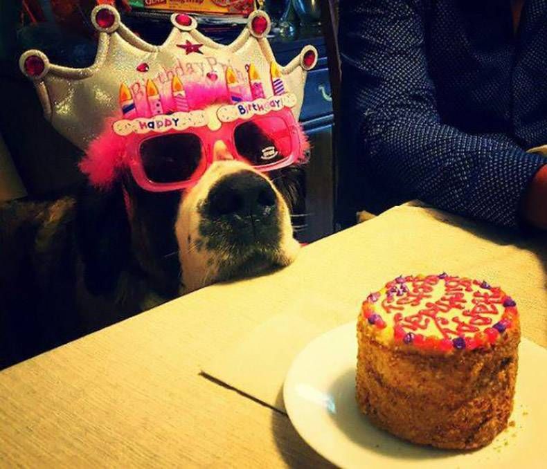 Gewoon een verzameling hilarische foto's #774