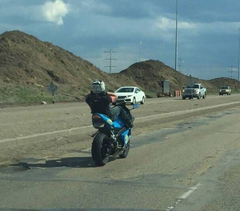 Gewoon een verzameling hilarische foto's #1009