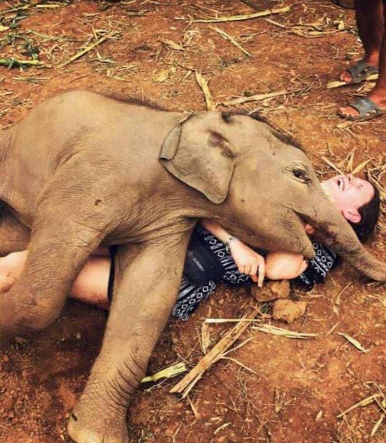 Gewoon een verzameling hilarische foto's #910