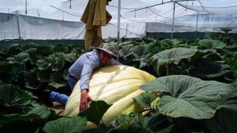 Gewoon een verzameling hilarische foto's #752