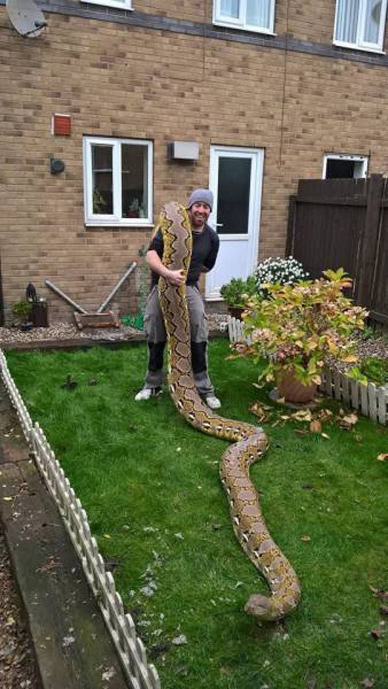Gewoon een verzameling hilarische foto's #731