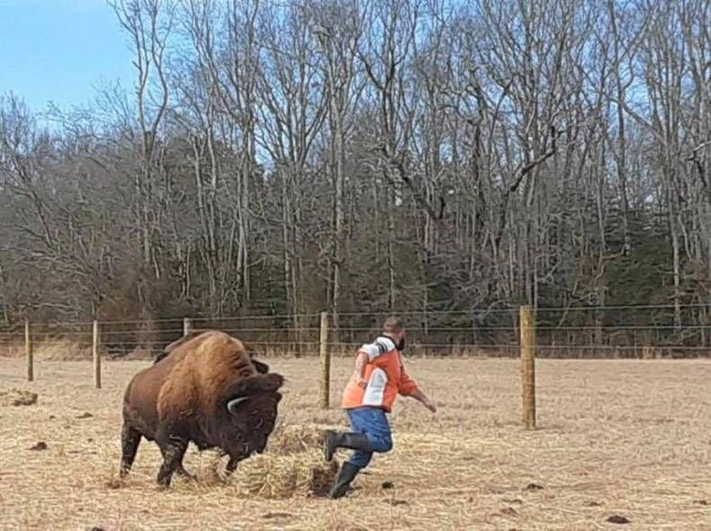 Gewoon een verzameling hilarische foto's #1234