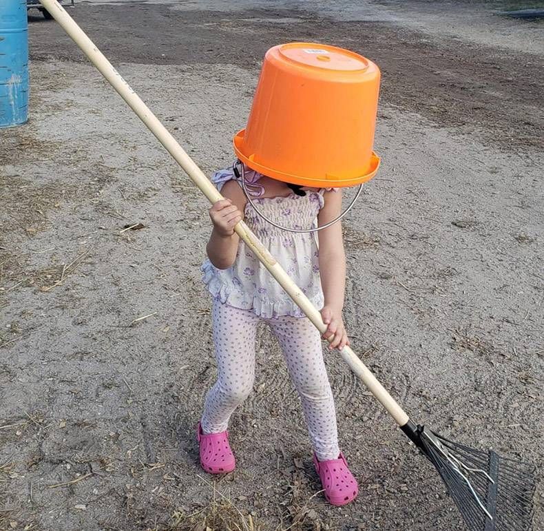 Gewoon een verzameling hilarische foto’s #1230