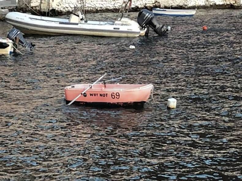 Gewoon een verzameling hilarische foto's #1169