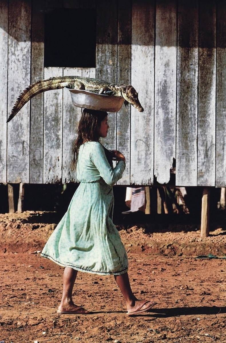 Gewoon een verzameling hilarische foto's #1166