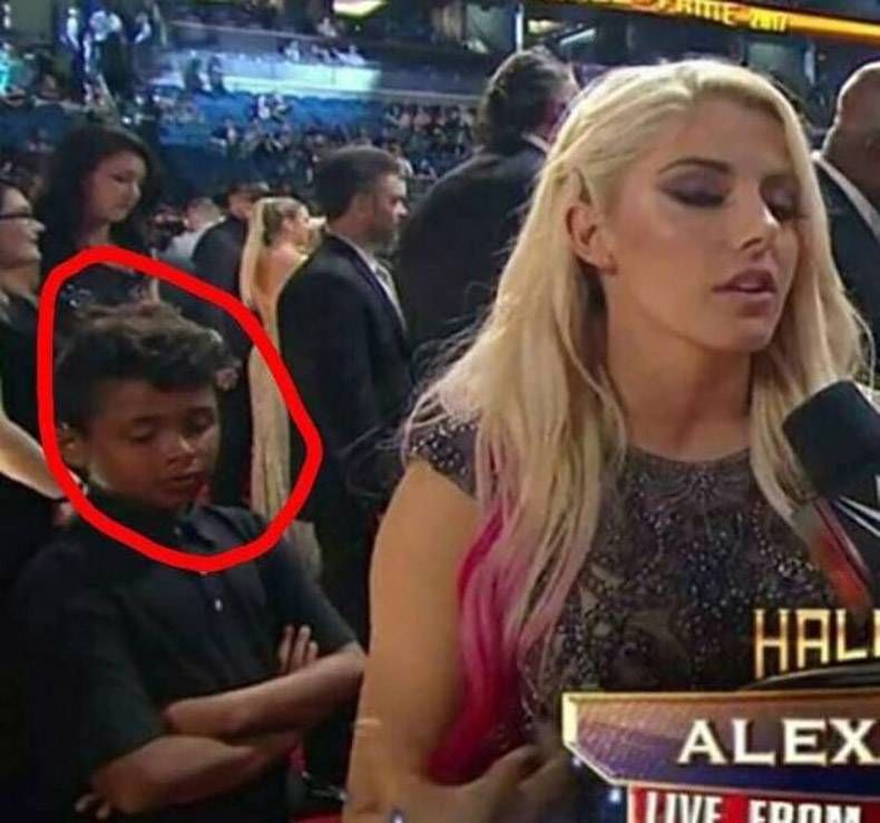 Gewoon een verzameling hilarische foto's #1009