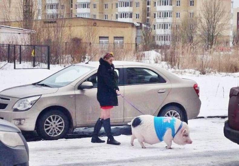 Gewoon een verzameling hilarische foto's #751