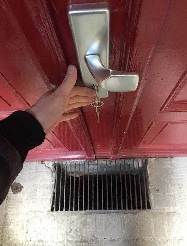 Gewoon een verzameling hilarische foto's #1071