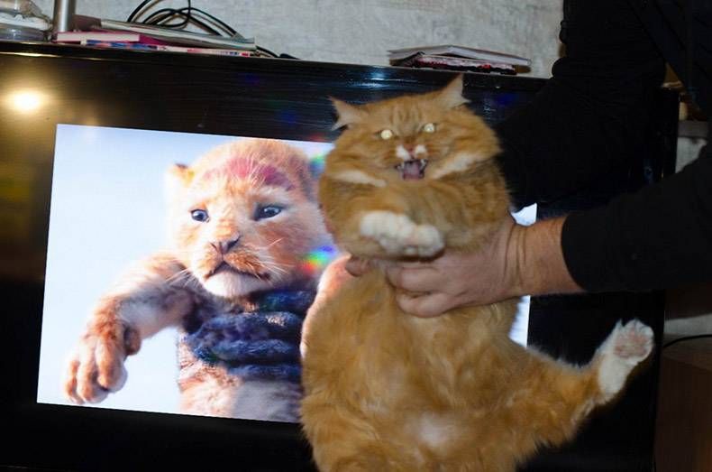 Gewoon een verzameling hilarische foto's #1055