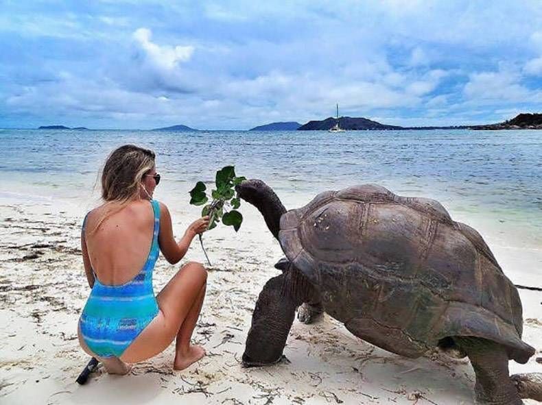 Gewoon een verzameling hilarische foto's #1010