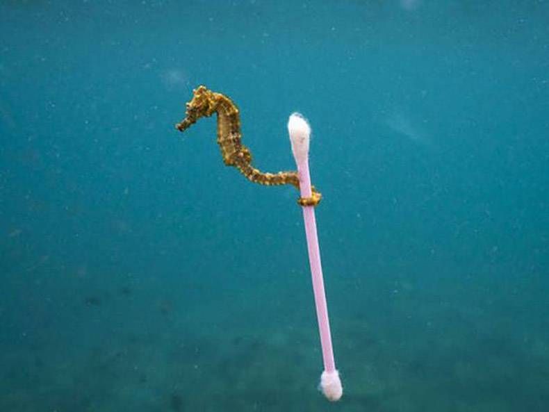 Gewoon een verzameling hilarische foto's #868