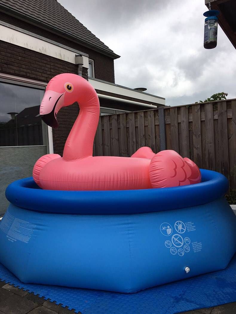 Gewoon een verzameling hilarische foto's #833