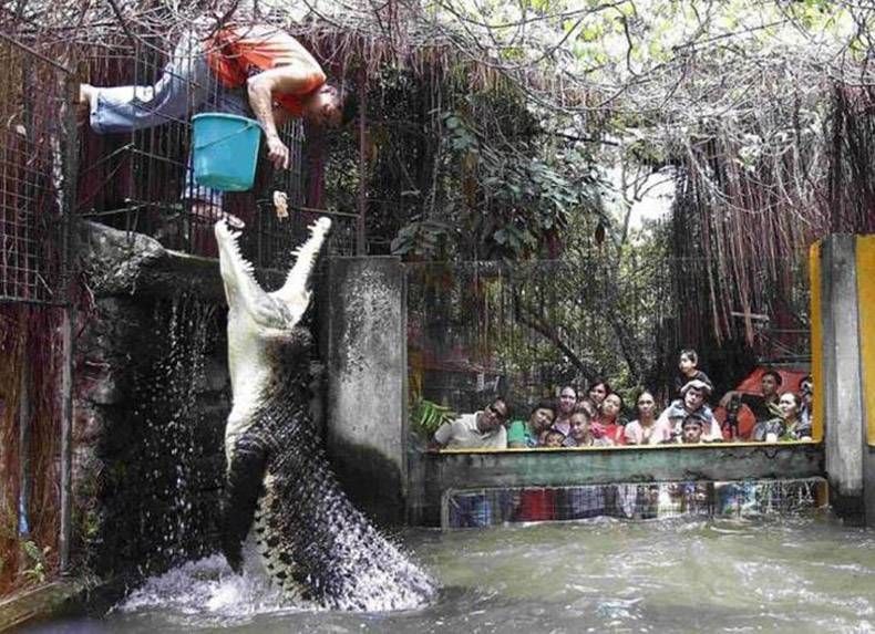 Gewoon een verzameling hilarische foto's #768