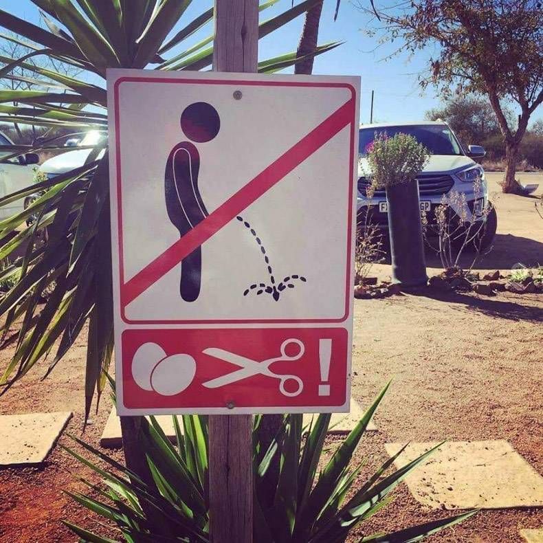 Gewoon een verzameling hilarische foto's #1018