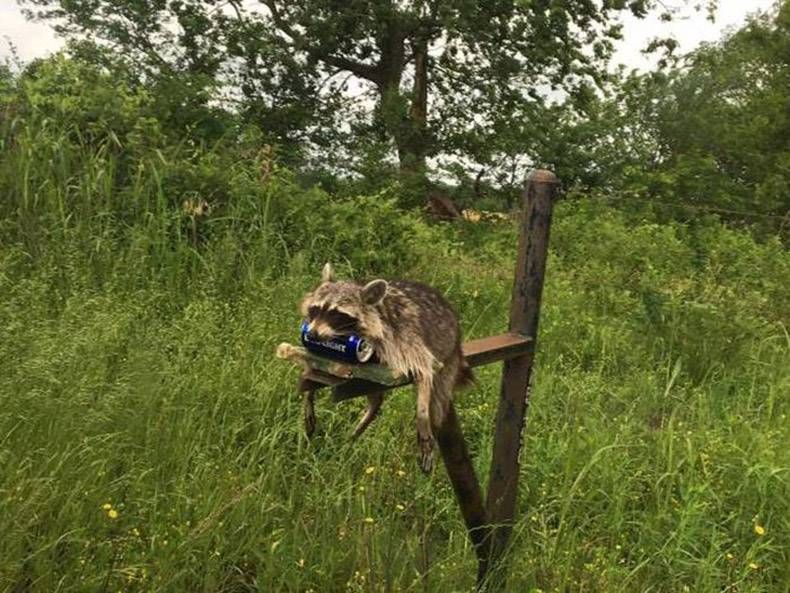 Gewoon een verzameling hilarische foto's #816