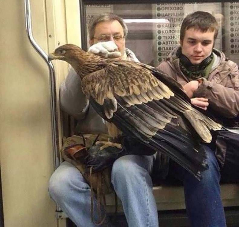 Gewoon een verzameling hilarische foto's #770