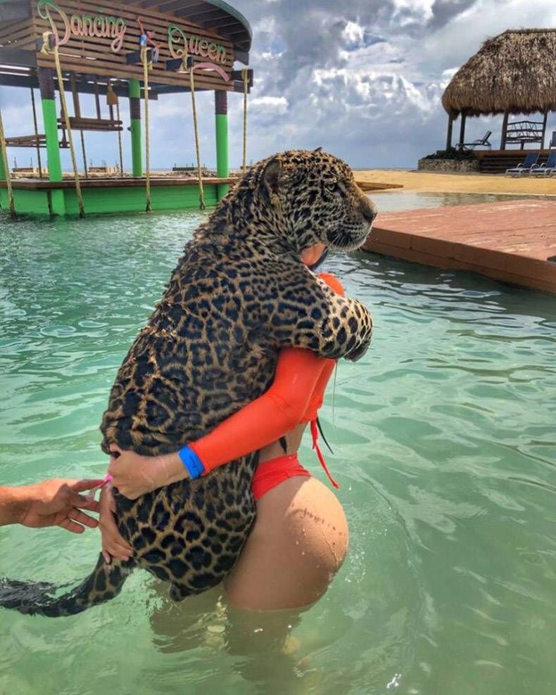 Gewoon een verzameling hilarische foto's #1254