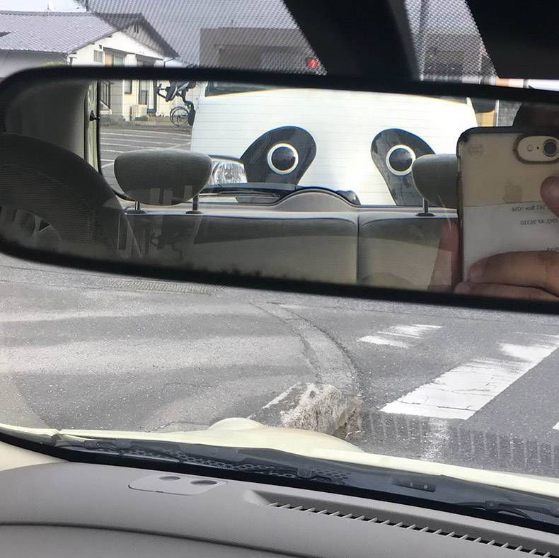 Gewoon een verzameling hilarische foto's #1055
