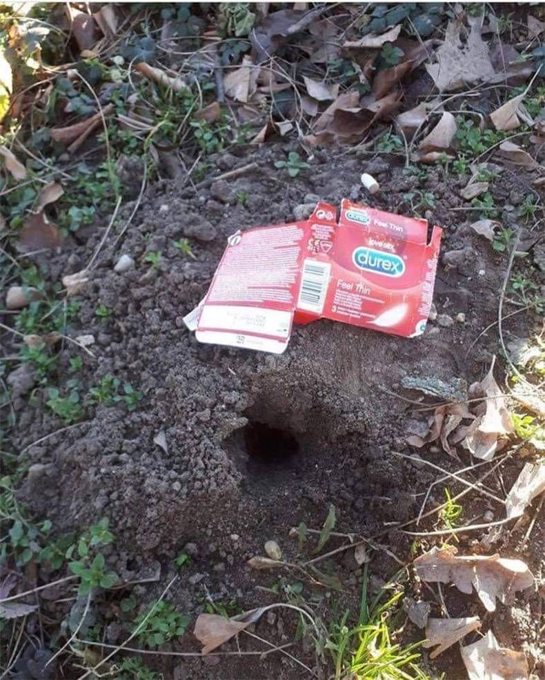 Pix Dump #1000 Special: Gewoon een verzameling OMFG foto’s