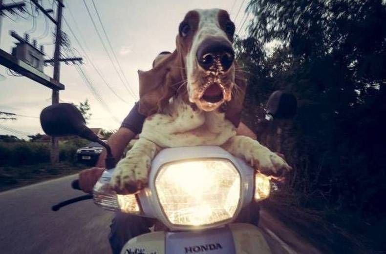 Gewoon een verzameling hilarische foto's #970