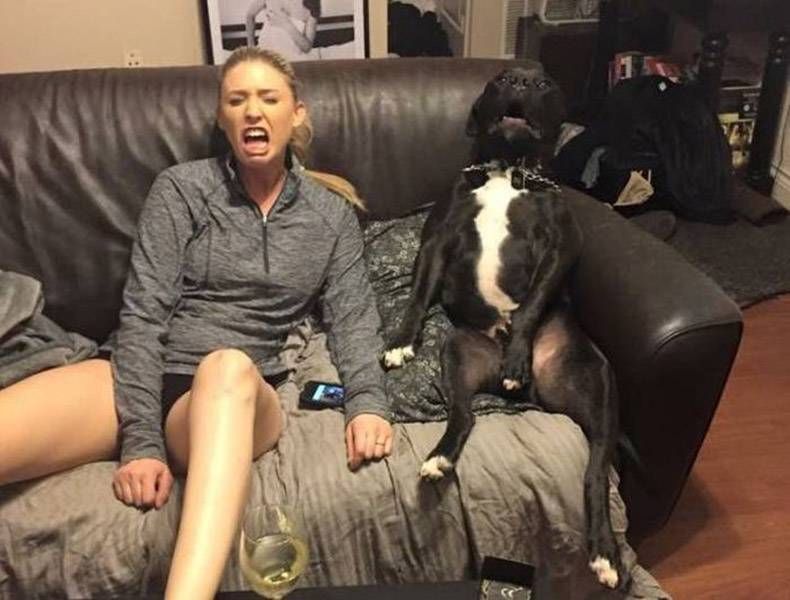 Gewoon een verzameling hilarische foto's #767