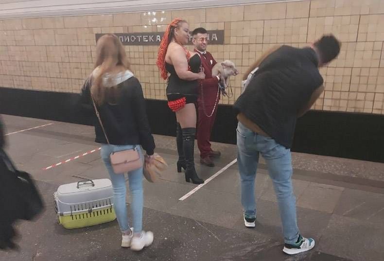 Gewoon een verzameling hilarische foto's #1347