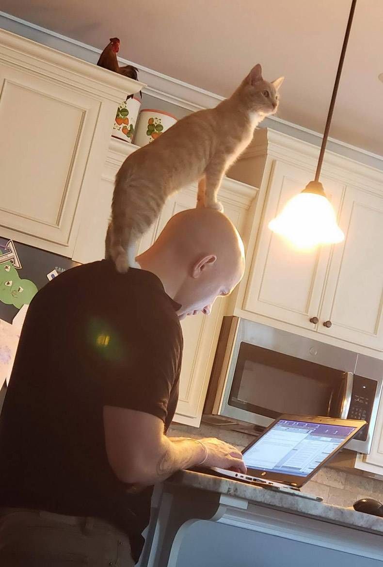Gewoon een verzameling hilarische foto's #1312