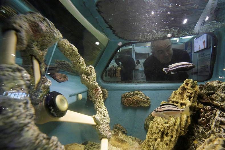 Gewoon een verzameling hilarische foto's #1060