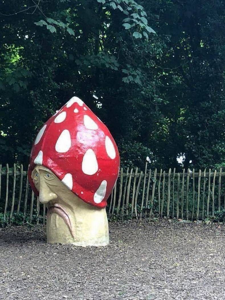 Gewoon een verzameling hilarische foto's #1028