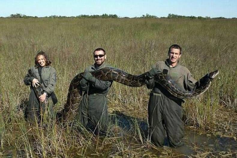 Gewoon een verzameling hilarische foto's #768
