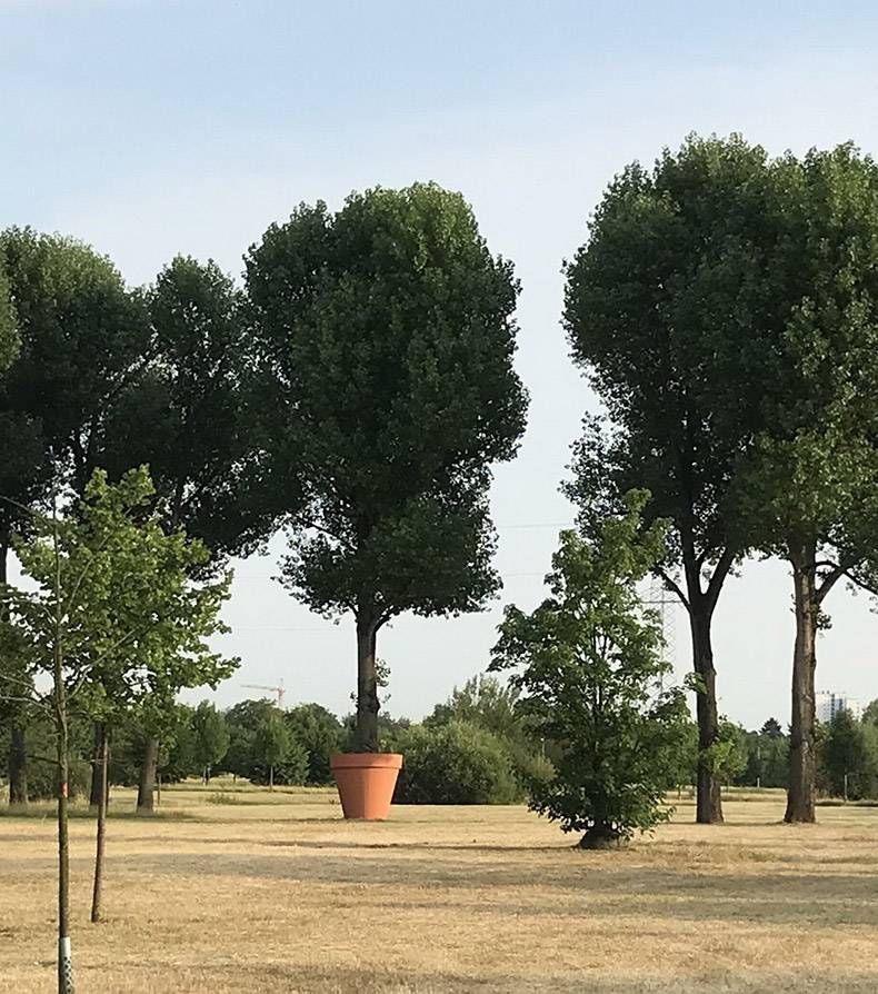 Gewoon een verzameling hilarische foto's #1182