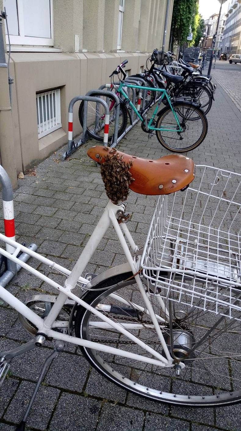 Gewoon een verzameling hilarische foto's #1148