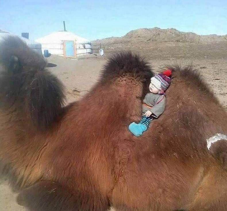 Gewoon een verzameling hilarische foto's #1063