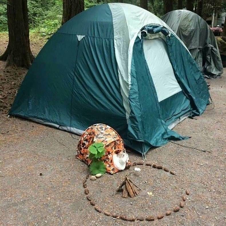 Gewoon een verzameling hilarische foto's #863