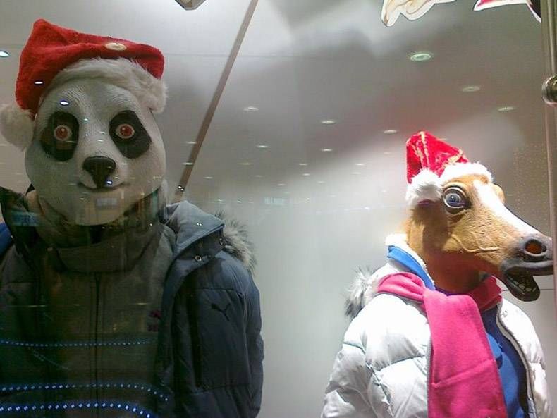 Gewoon een verzameling hilarische foto's #862