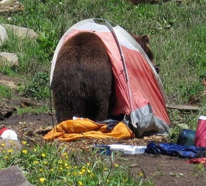 Gewoon een verzameling hilarische foto's #806