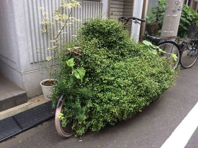 Gewoon een verzameling hilarische foto's #970