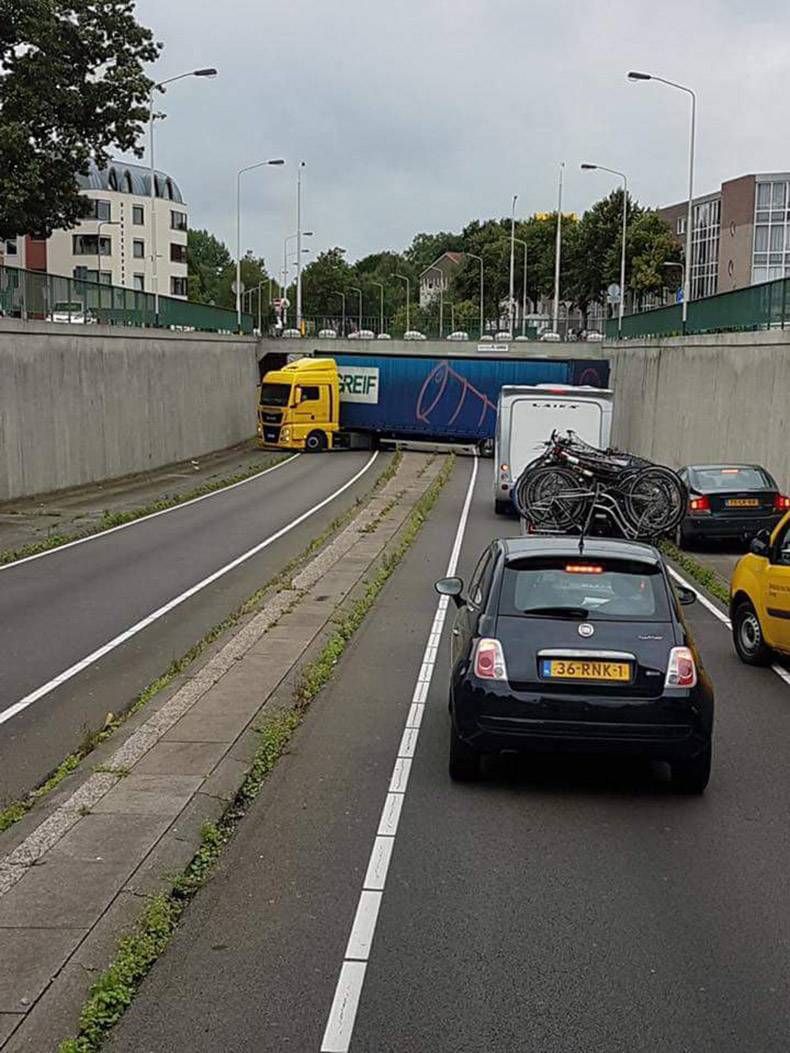 Gewoon een verzameling hilarische foto's #857