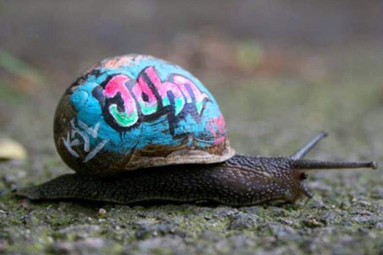 Gewoon een verzameling hilarische foto's #850
