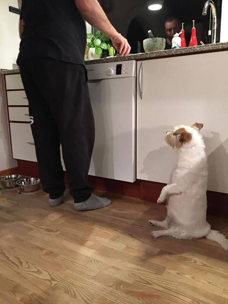 Gewoon een verzameling hilarische foto's #1237